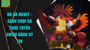 Đá gà Mebet - Sảnh chọi gà trực tuyến chính hãng uy tín